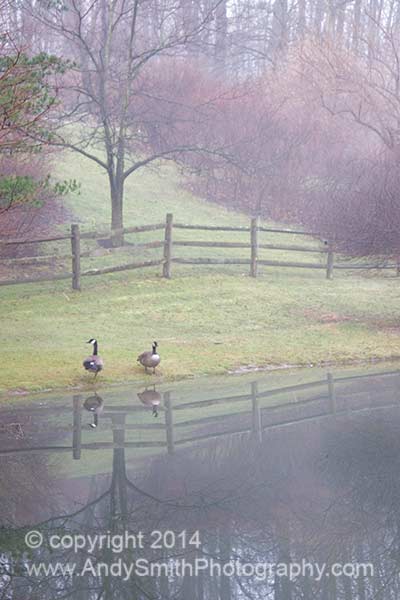 Reflection on a Misty Fall Morning